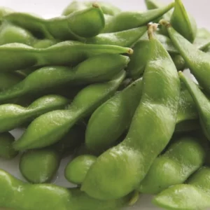Edamame Donuk Yeşil Soya Fasülyesi Kabuklu 1 Kg.